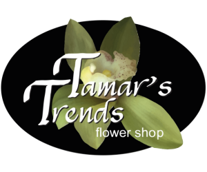 Tamar's Trends